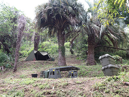 神奈川県横須賀市船越町No,1 ブッシュクラフトキャンプ場