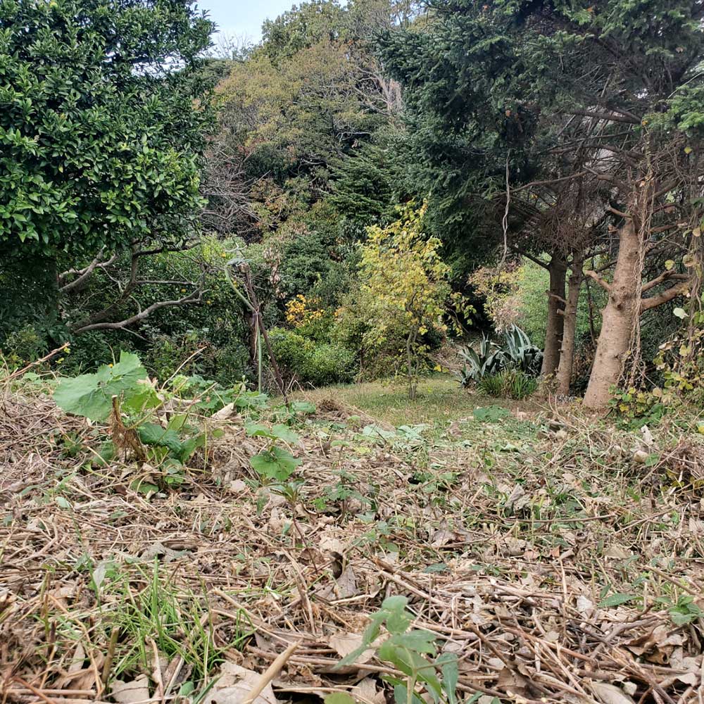 bushcraft campsite Funakoshi yokosuka kanagawa japan