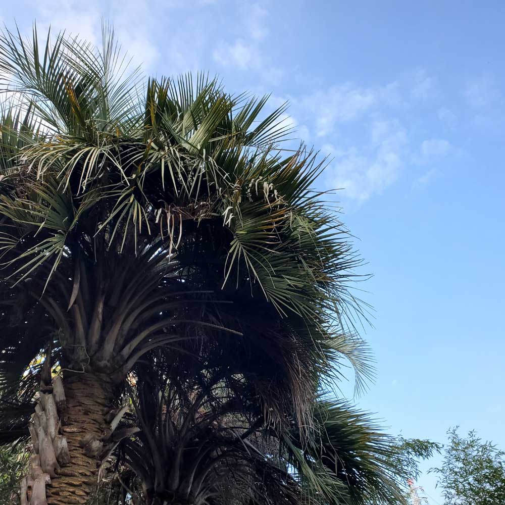 bushcraft campsite Funakoshi yokosuka kanagawa japan