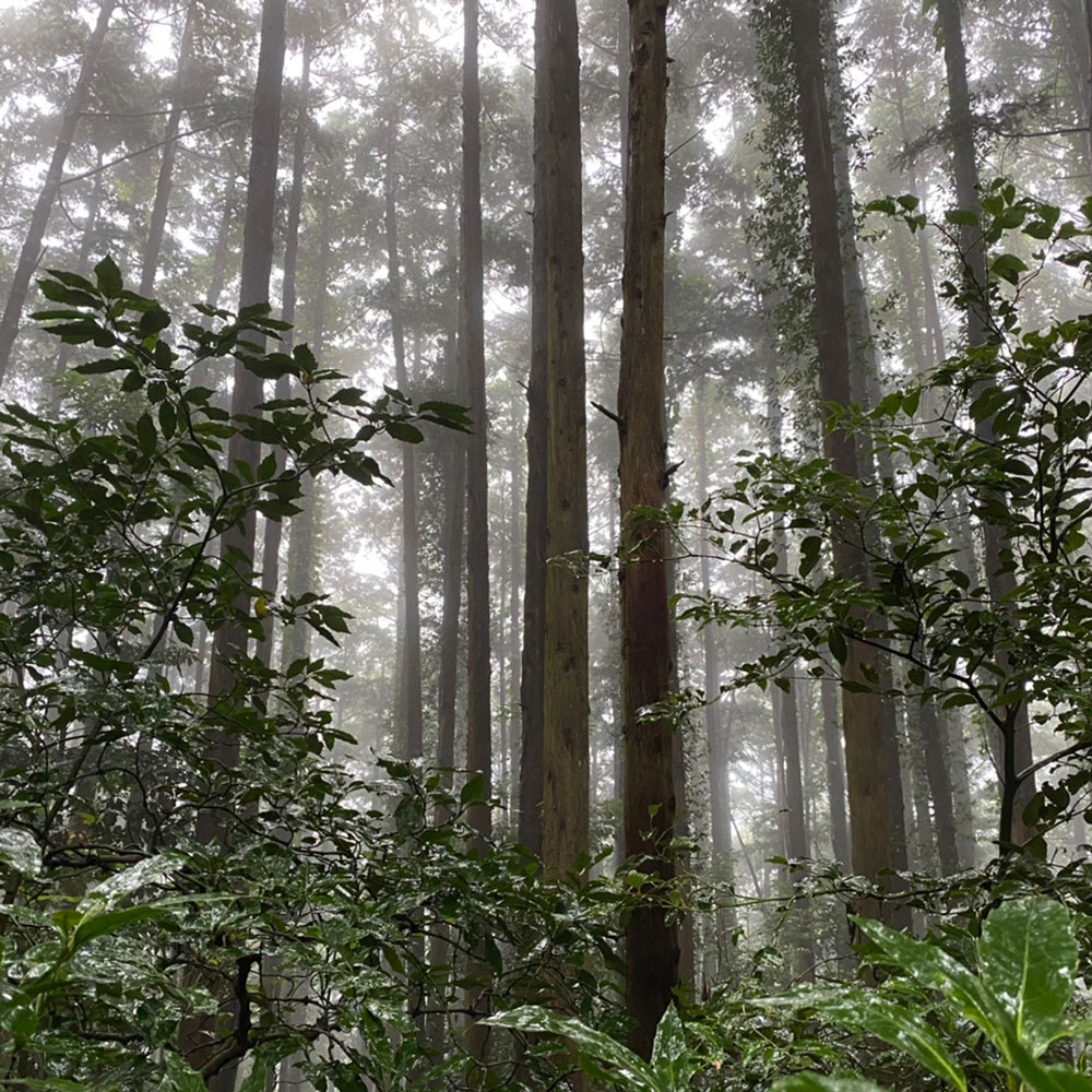 bushcraft campsite odawara hayakawa kanagawa japan