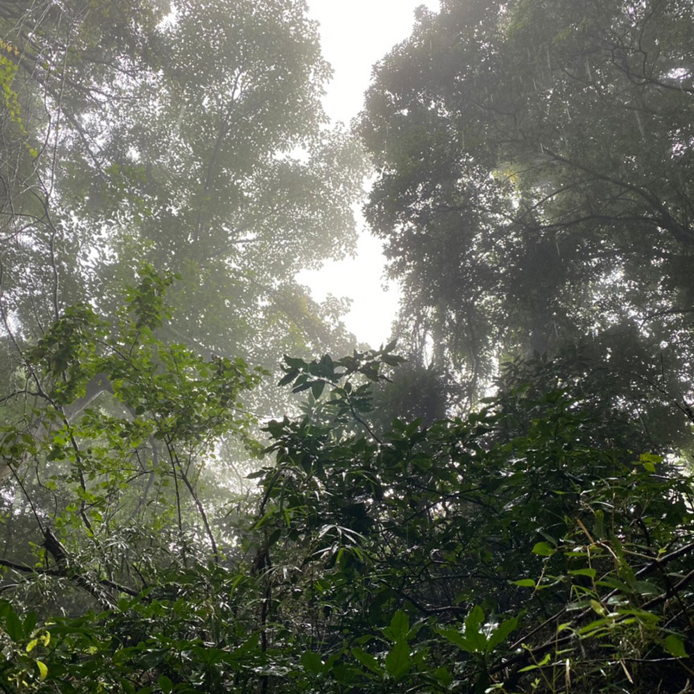 bushcraft campsite odawara hayakawa kanagawa japan