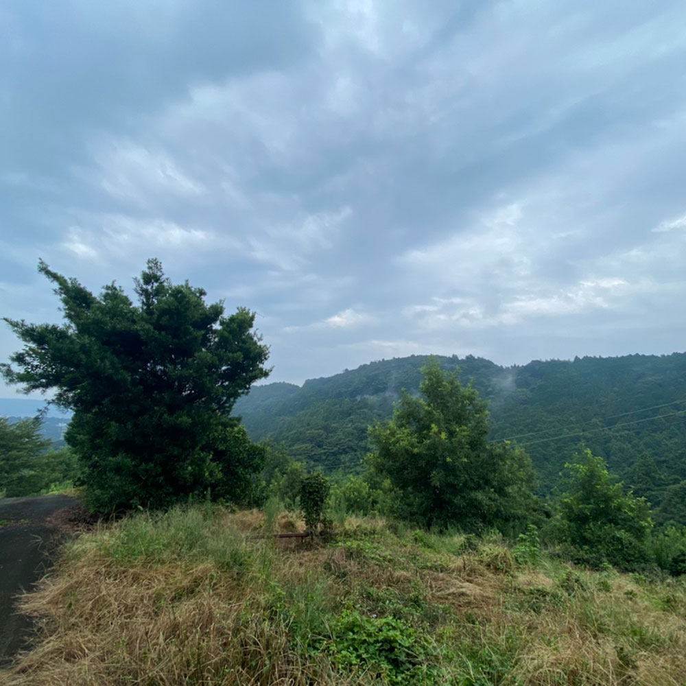 bushcraft campsite odawara hayakawa kanagawa japan