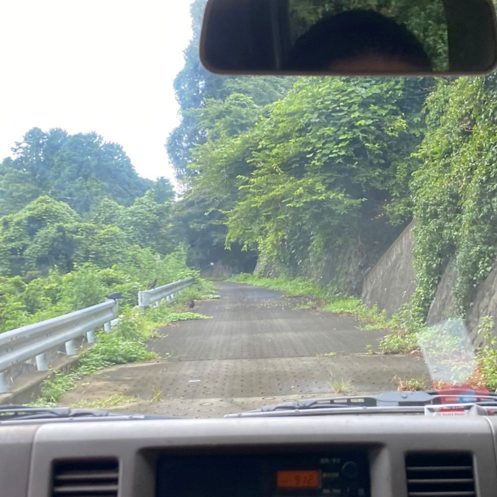 bushcraft campsite odawara hayakawa kanagawa japan