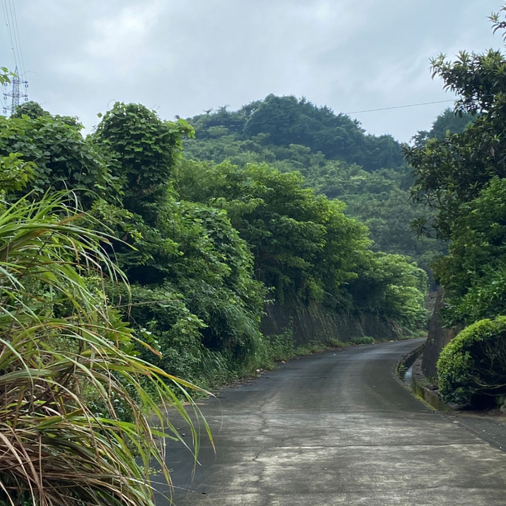 bushcraft campsite odawara hayakawa kanagawa japan