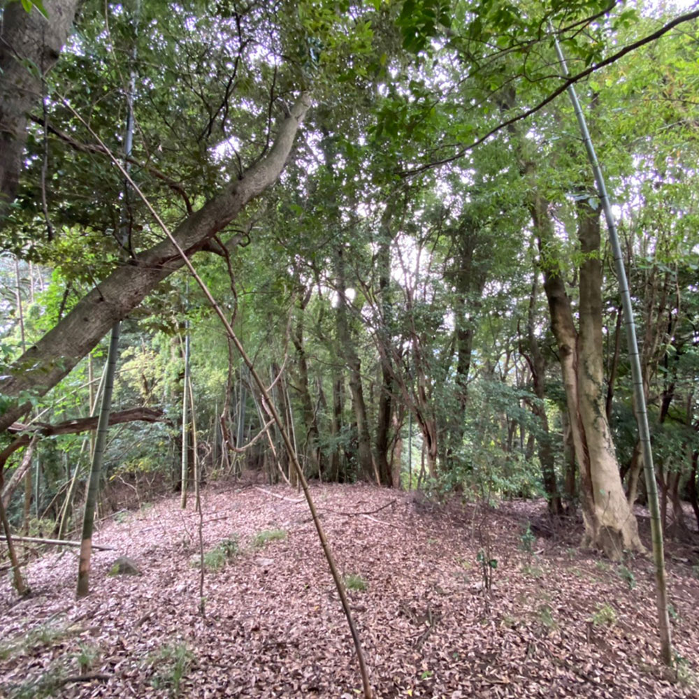 bushcraft campsite odawara iryuda kanagawa japan