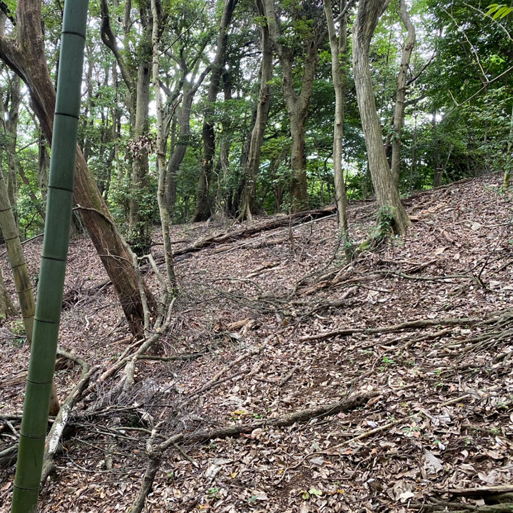 bushcraft campsite odawara iryuda kanagawa japan