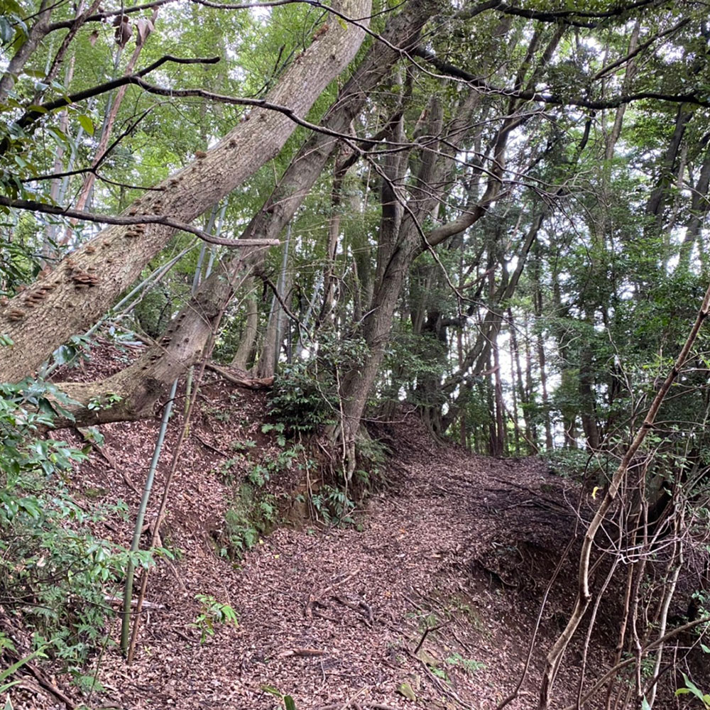 bushcraft campsite odawara iryuda kanagawa japan