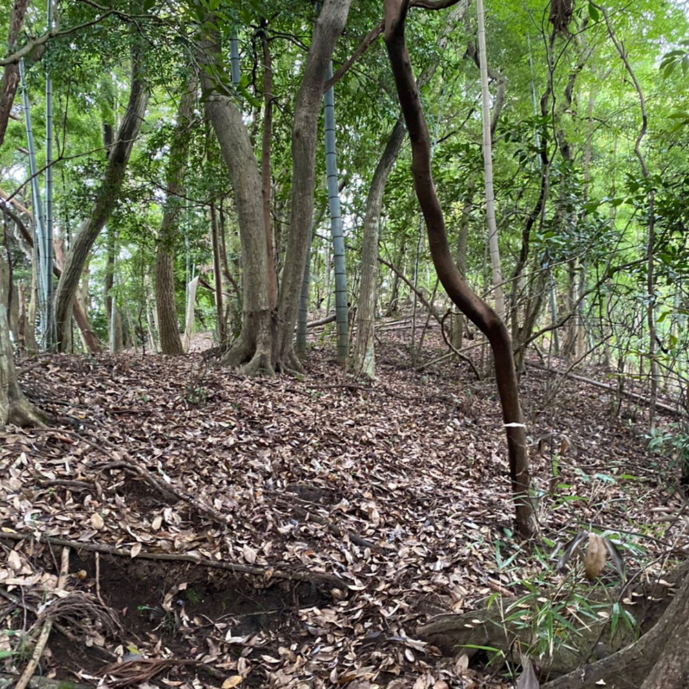bushcraft campsite odawara iryuda kanagawa japan
