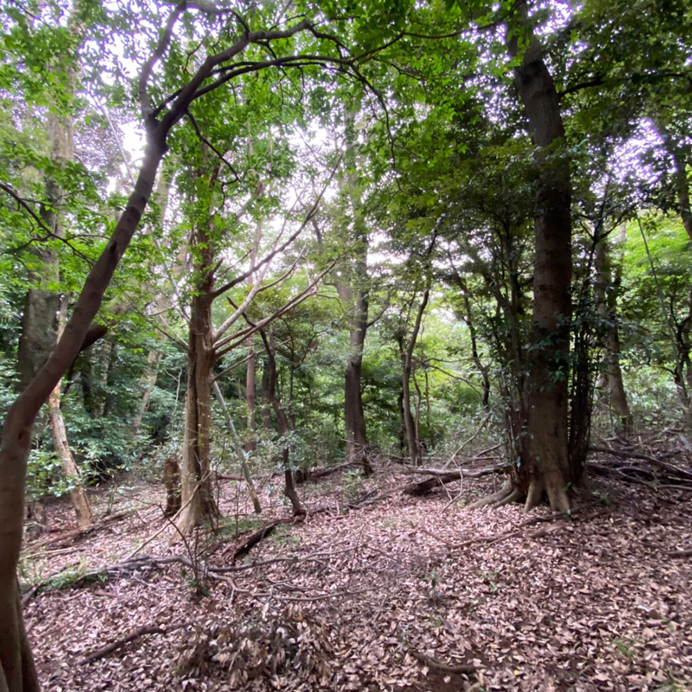 bushcraft campsite odawara iryuda kanagawa japan
