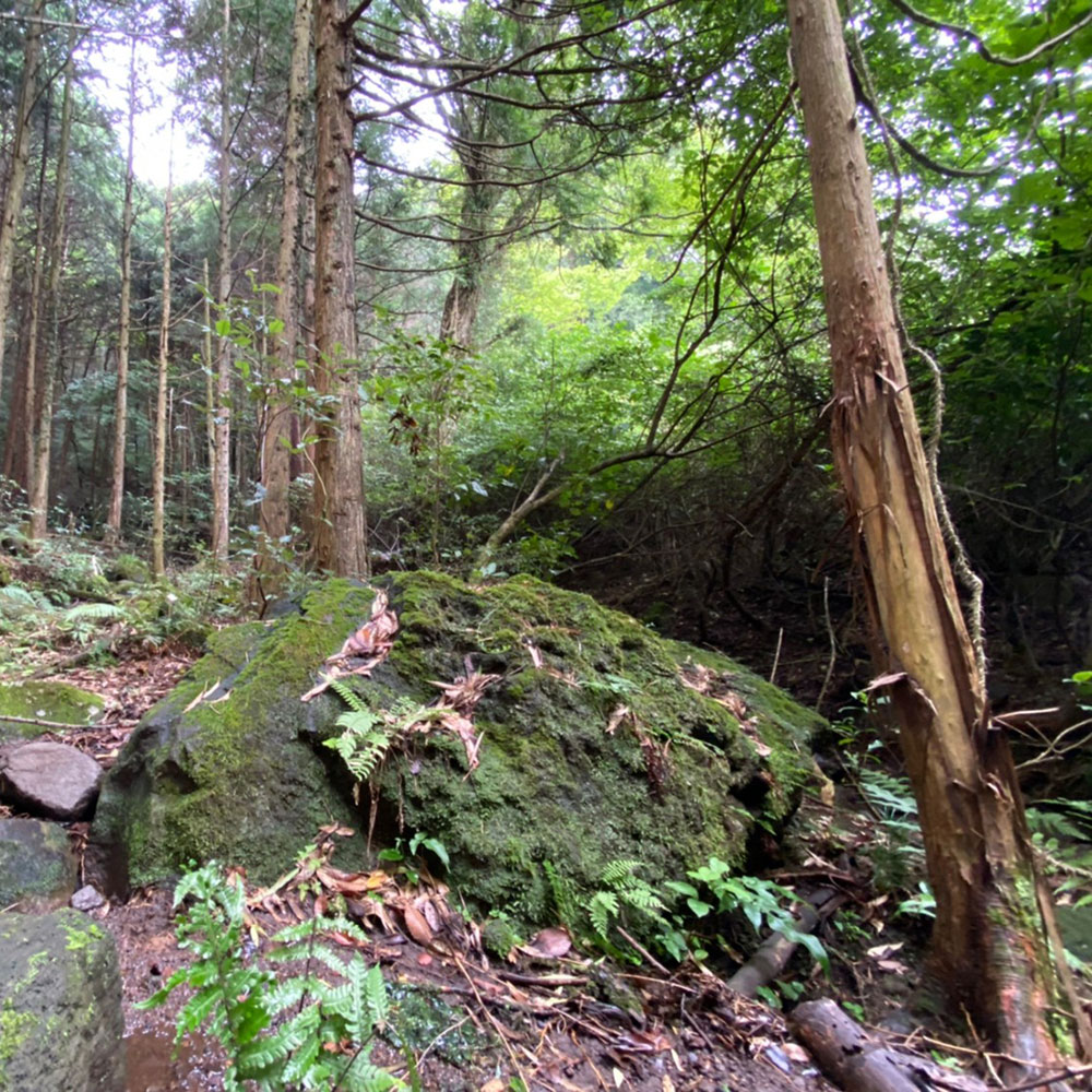 bushcraft campsite odawara iryuda kanagawa japan