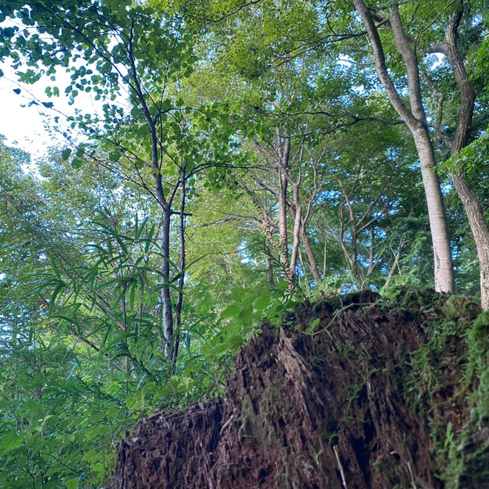 bushcraft campsite odawara iryuda kanagawa japan