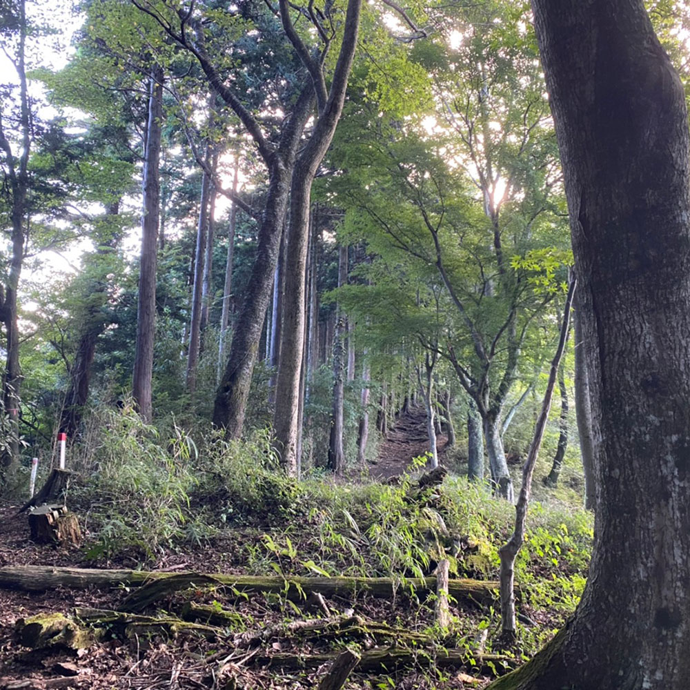 bushcraft campsite odawara iryuda kanagawa japan
