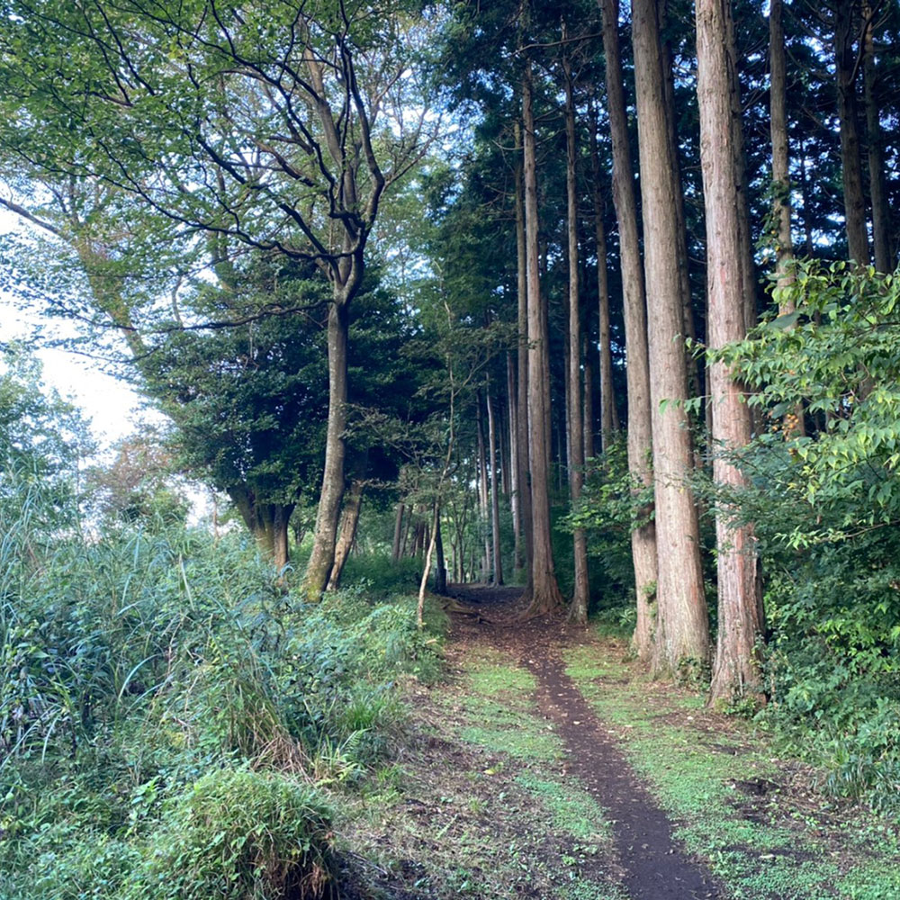 bushcraft campsite odawara iryuda kanagawa japan