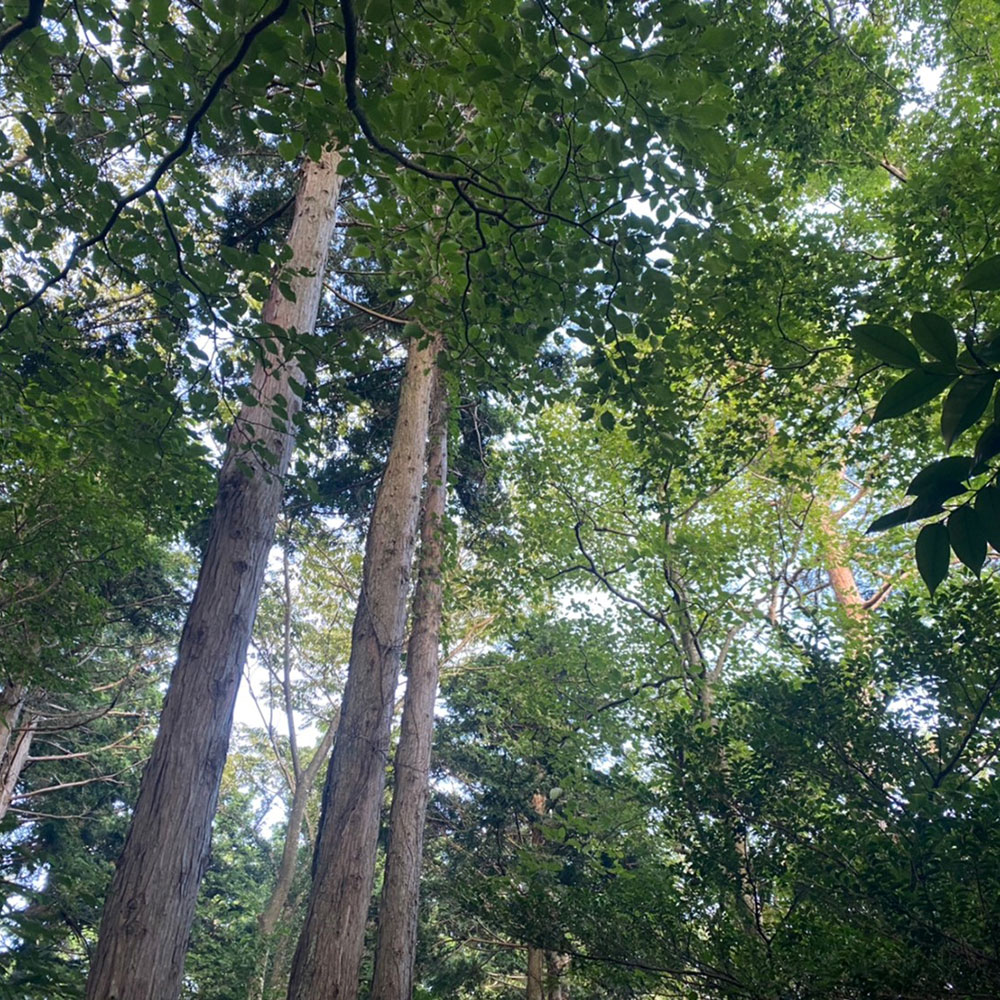bushcraft campsite odawara iryuda kanagawa japan