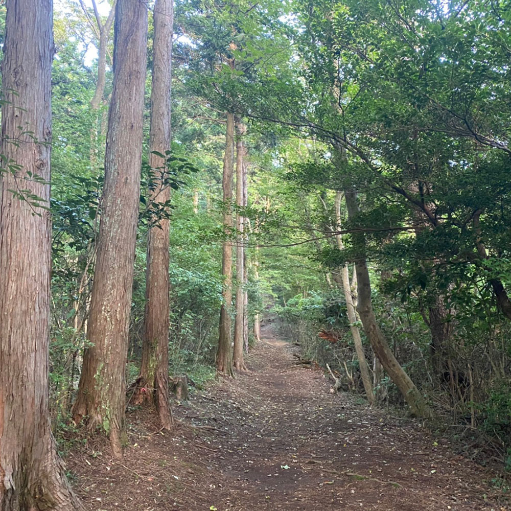 bushcraft campsite odawara iryuda kanagawa japan