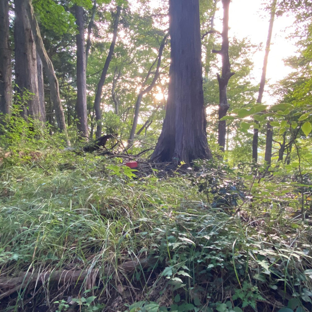 bushcraft campsite odawara iryuda kanagawa japan