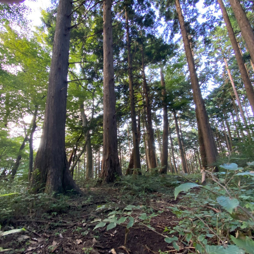 bushcraft campsite odawara iryuda kanagawa japan