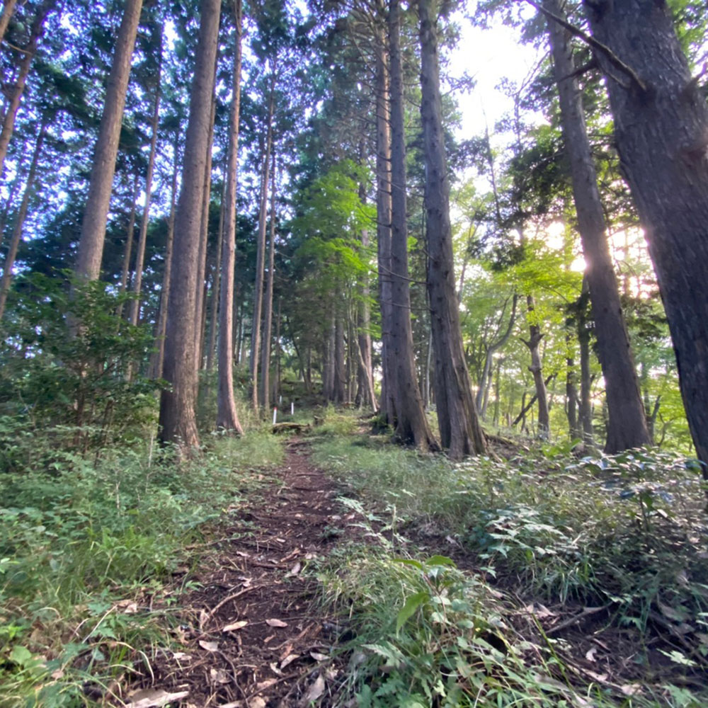 bushcraft campsite odawara iryuda kanagawa japan