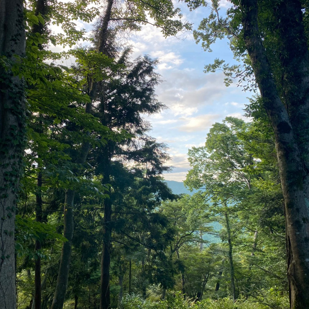 bushcraft campsite odawara iryuda kanagawa japan