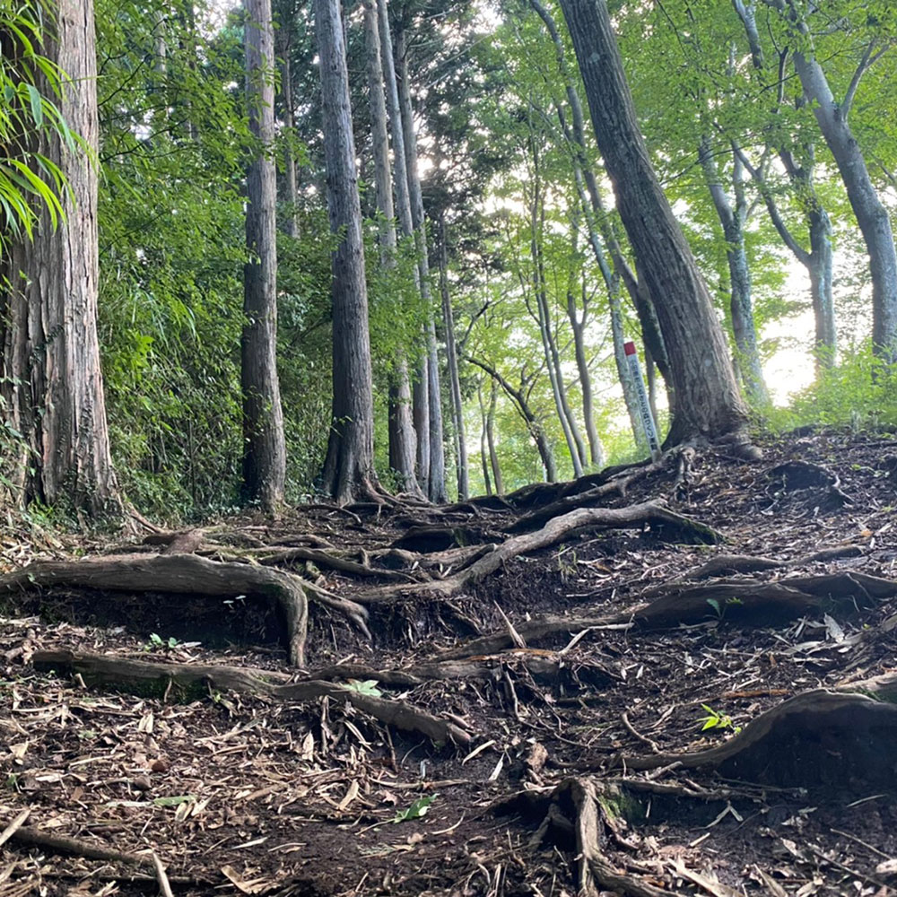 bushcraft campsite odawara iryuda kanagawa japan