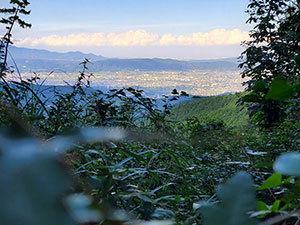 神奈川県小田原市入生田No,4 ブッシュクラフトキャンプ場