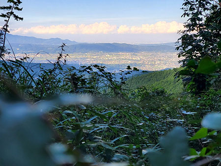 神奈川県小田原市入生田No,4 ブッシュクラフトキャンプ場