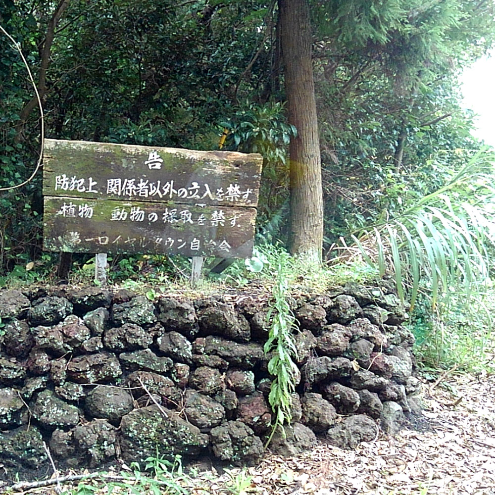 bushcraft campsite izuoshima  japan