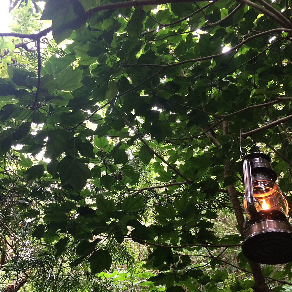 bushcraft campsite izuoshima  japan