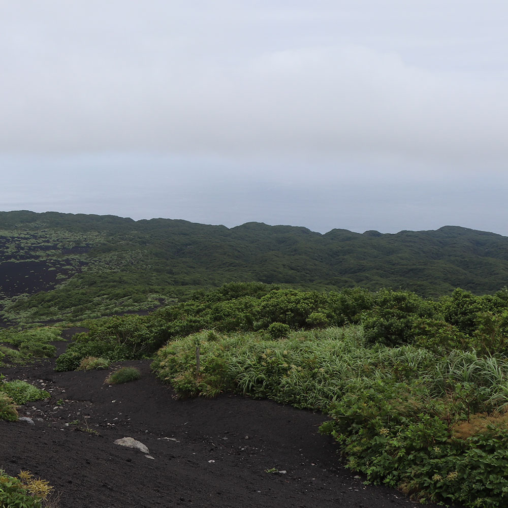 bushcraft campsite izuoshima  japan