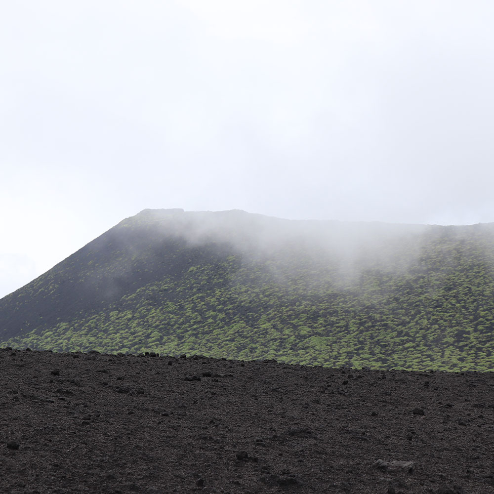 bushcraft campsite izuoshima  japan