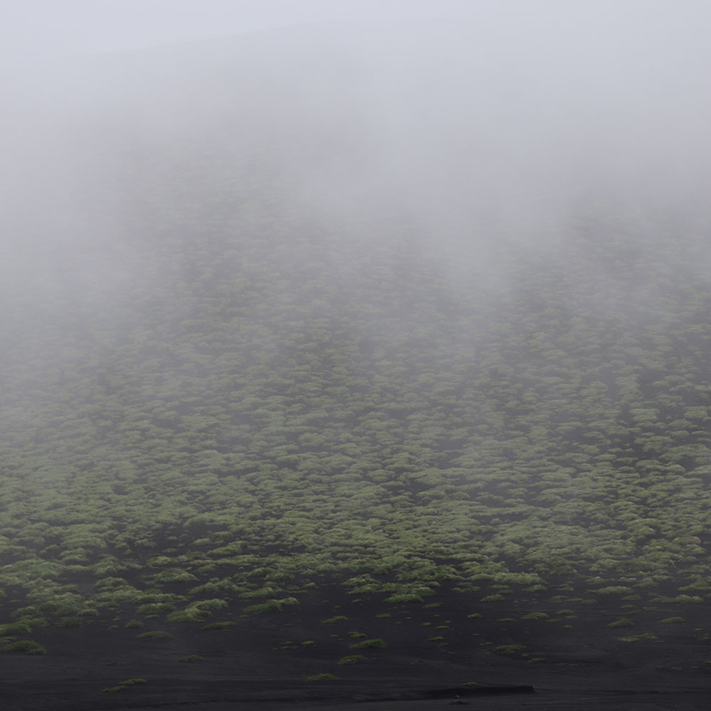 bushcraft campsite izuoshima  japan