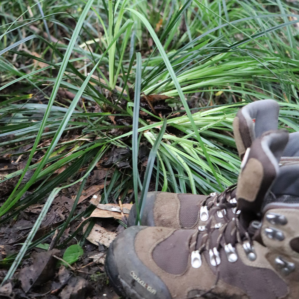bushcraft campsite izuoshima  japan