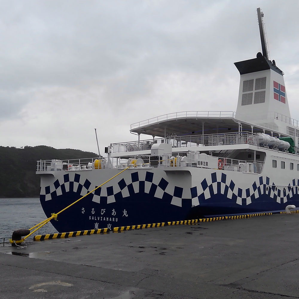 bushcraft campsite izuoshima  japan