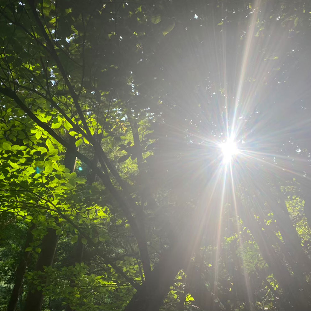 bushcraft campsite kamiyamaguchi hayama kanagawa japan