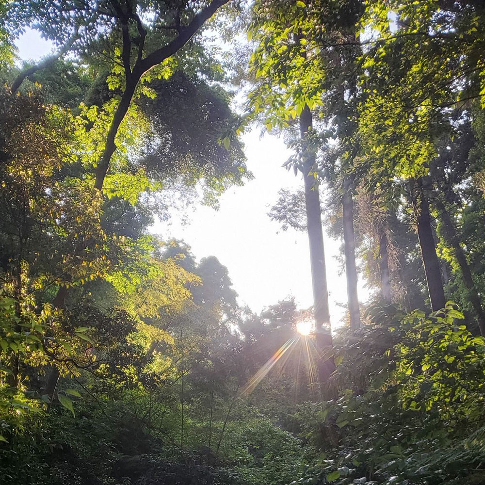 bushcraft campsite kamiyamaguchi hayama kanagawa japan