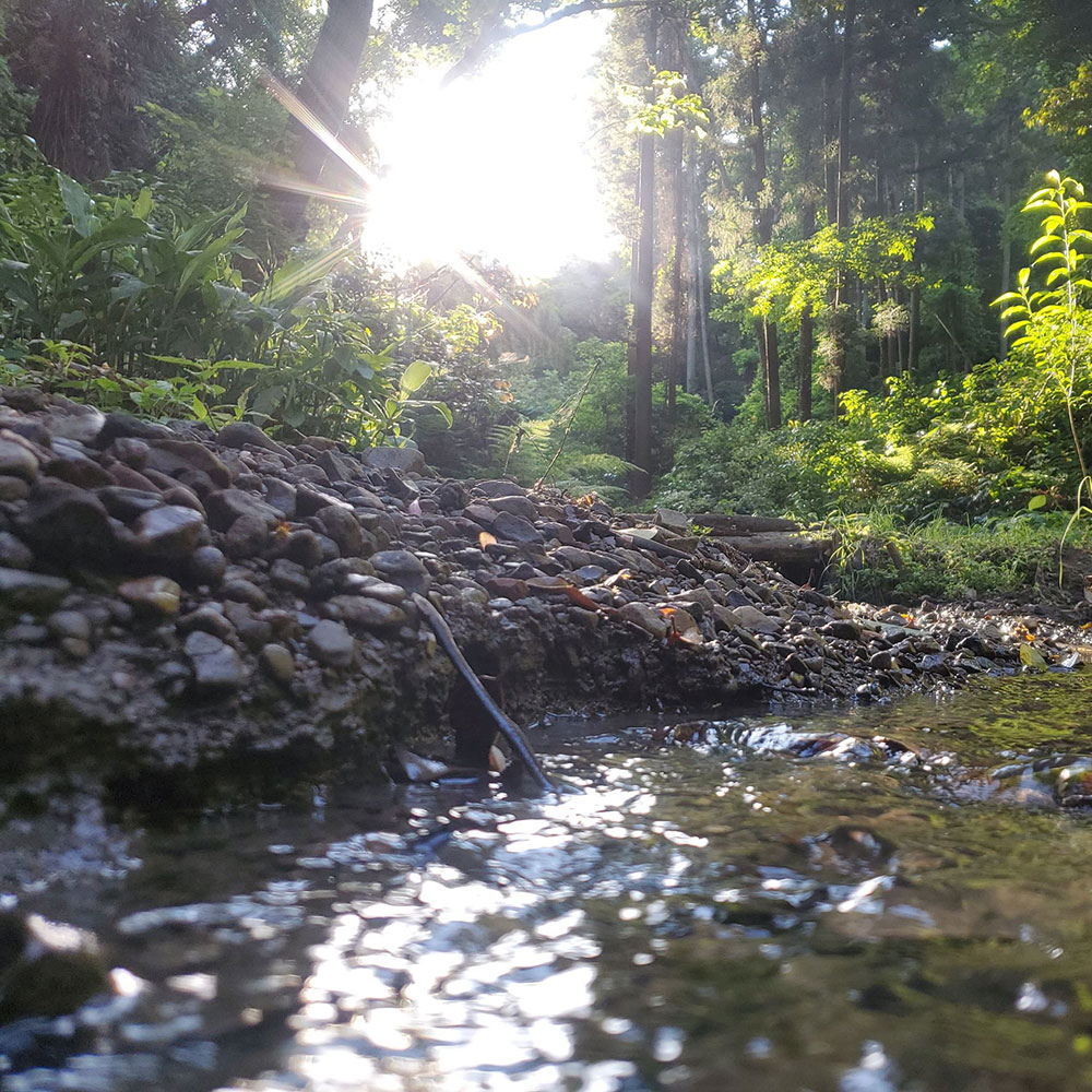 bushcraft campsite kamiyamaguchi hayama kanagawa japan