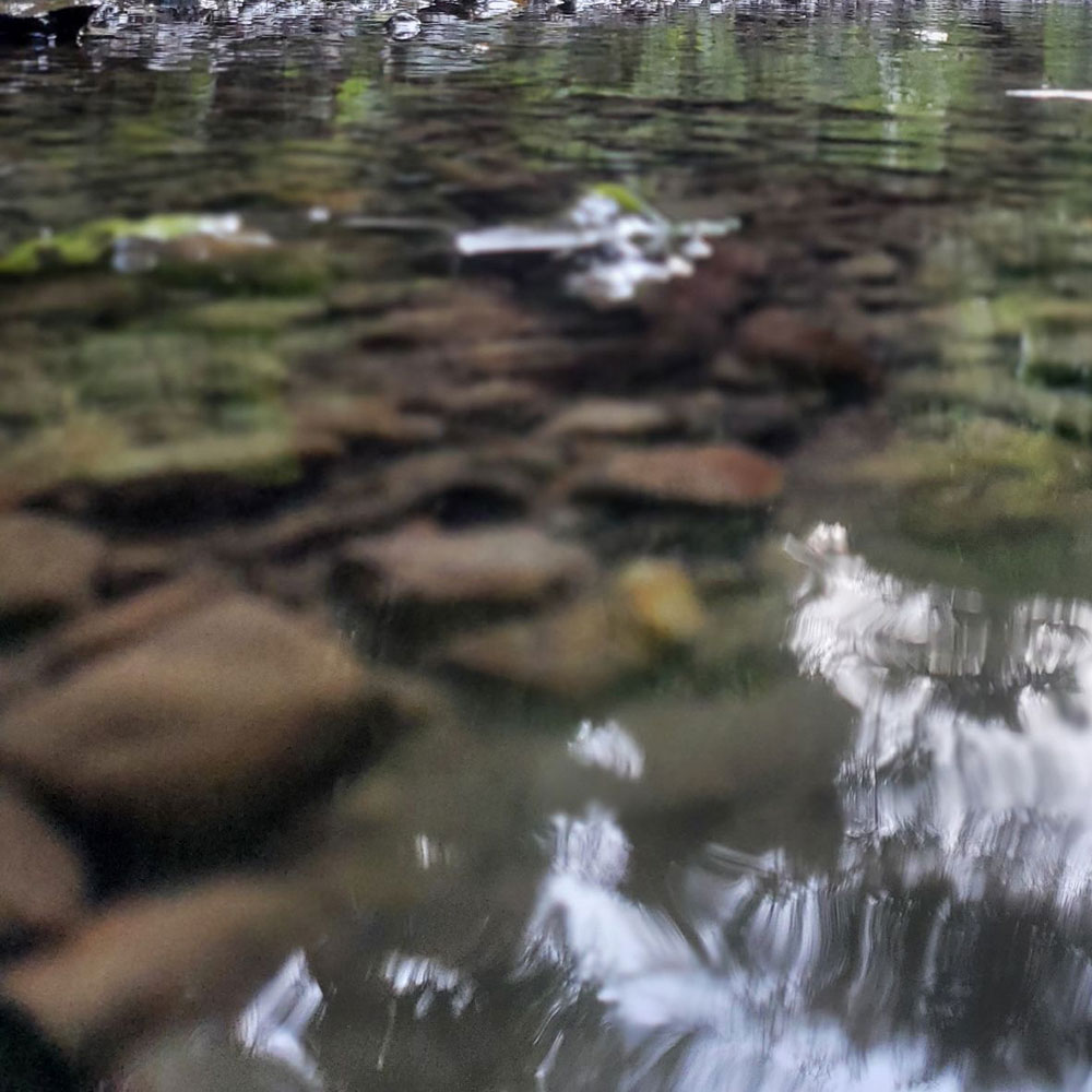 bushcraft campsite kamiyamaguchi hayama kanagawa japan