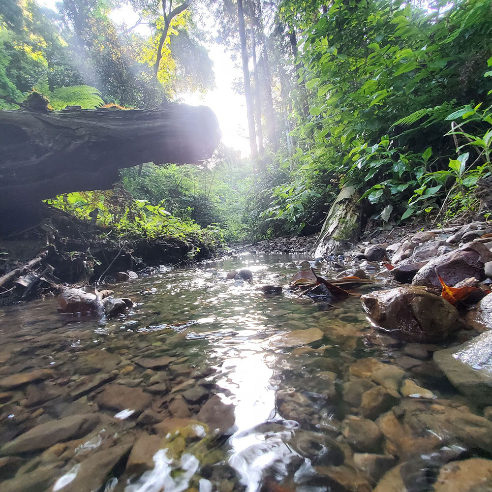 bushcraft campsite kamiyamaguchi hayama kanagawa japan