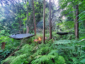 神奈川県三浦郡葉山町上山口ブッシュクラフトキャンプ場