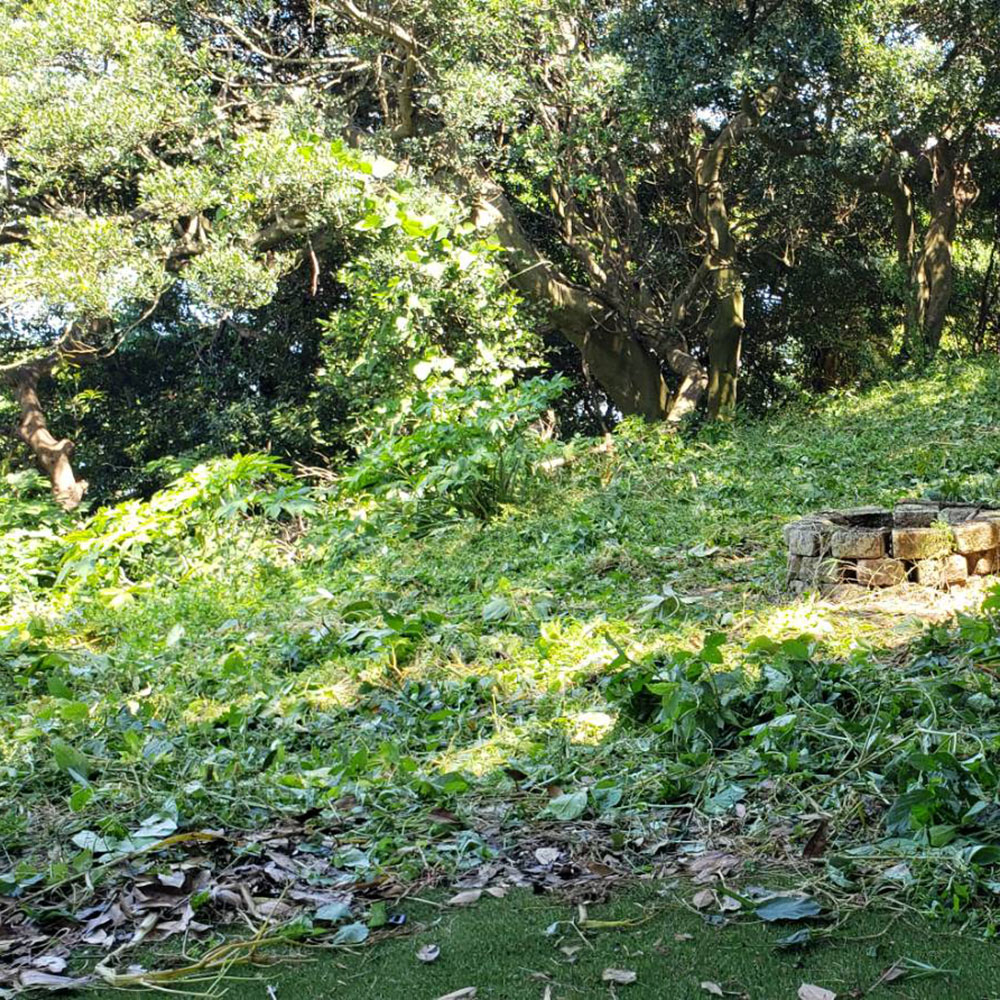 bushcraft campsite kaneda miura kanagawa japan