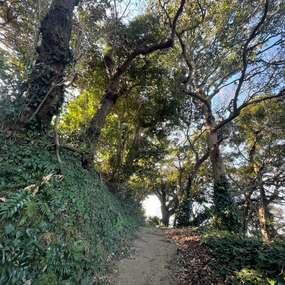 bushcraft campsite kaneda miura kanagawa japan