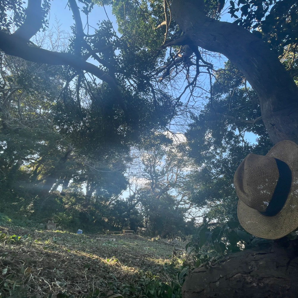 bushcraft campsite kaneda miura kanagawa japan