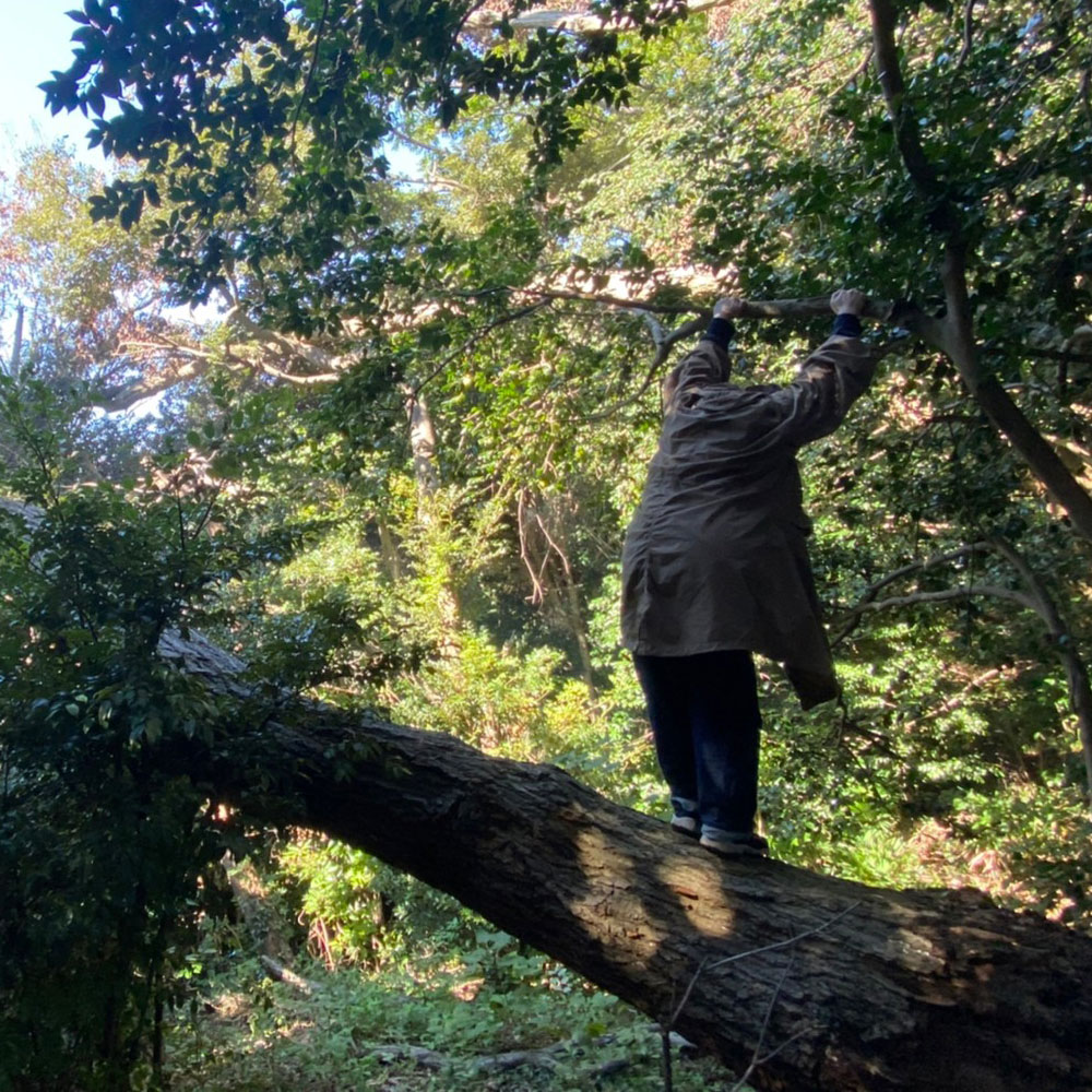 bushcraft campsite yokosuka koyabe kanagawa japan