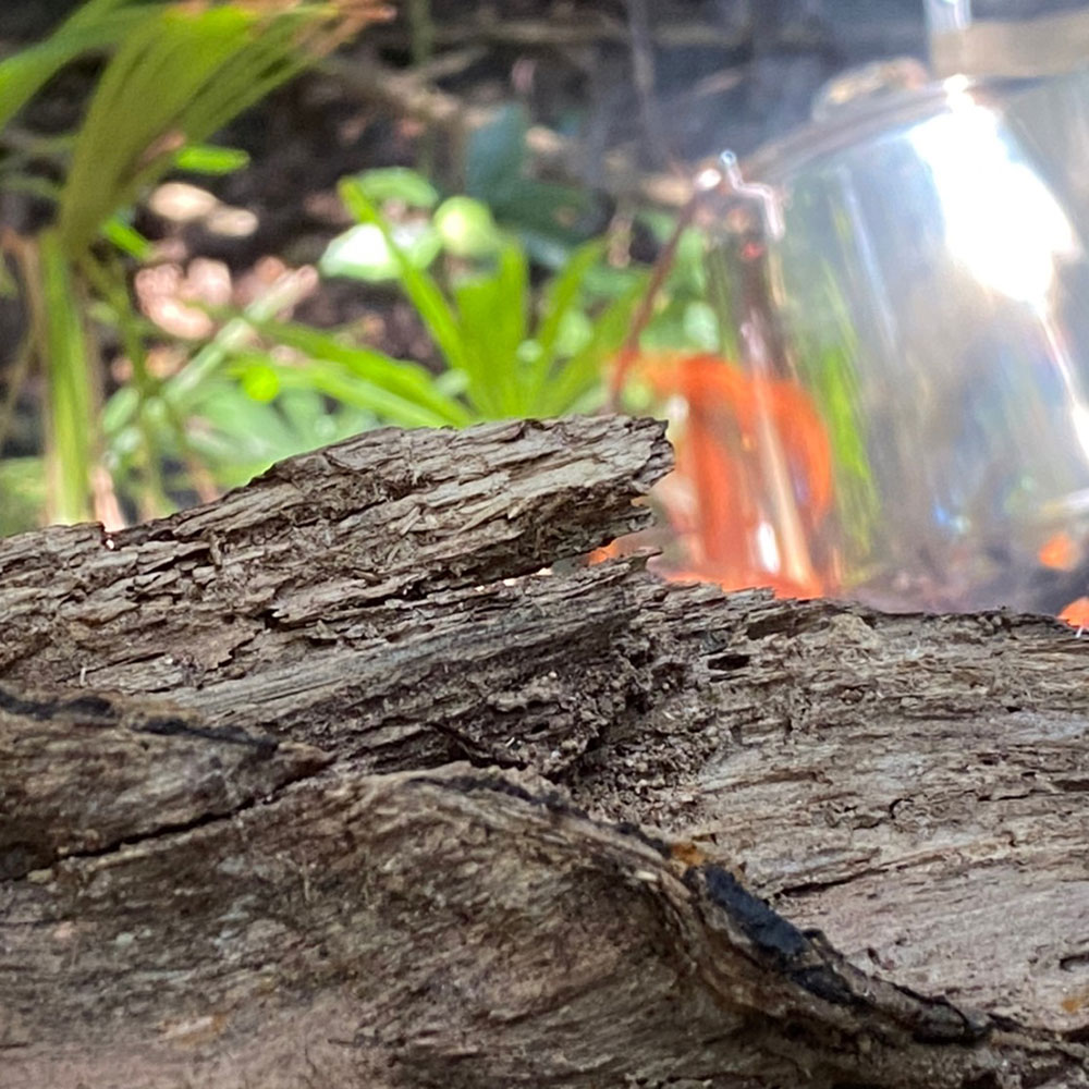 bushcraft campsite yokosuka koyabe  kanagawa japan