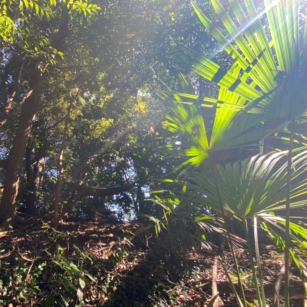 bushcraft campsite yokosuka koyabe  kanagawa japan