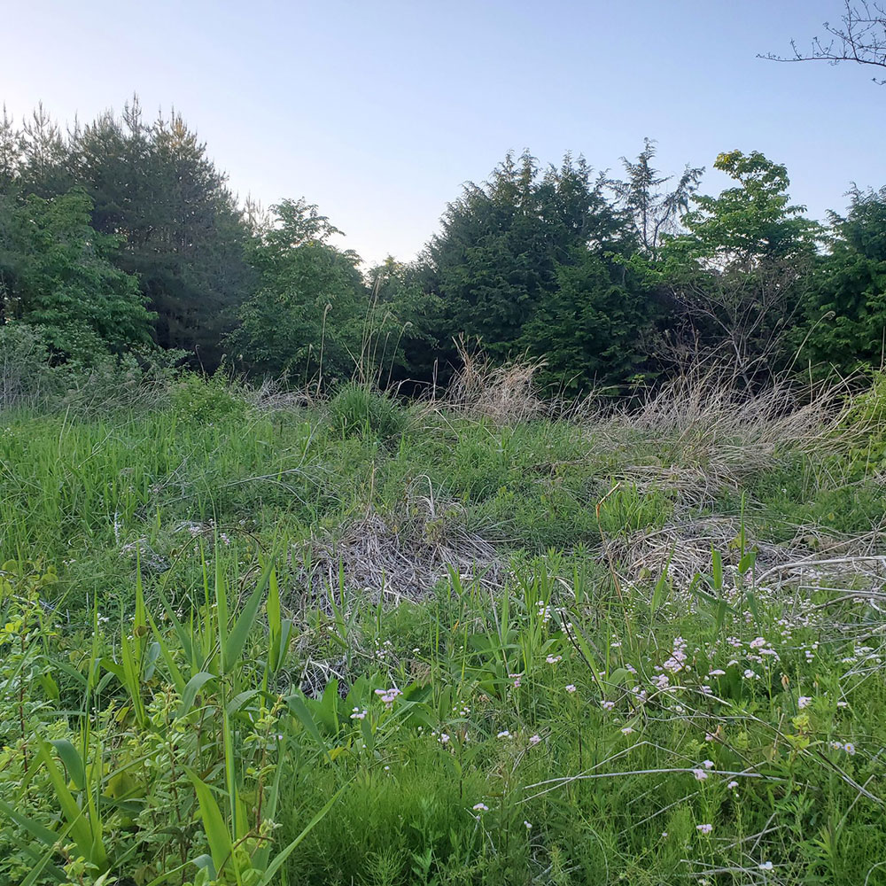 bushcraft campsite minami-soma fukushima  japan
