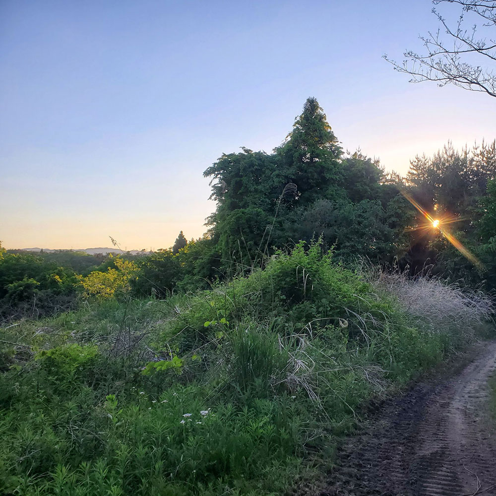 bushcraft campsite minami-soma fukushima  japan