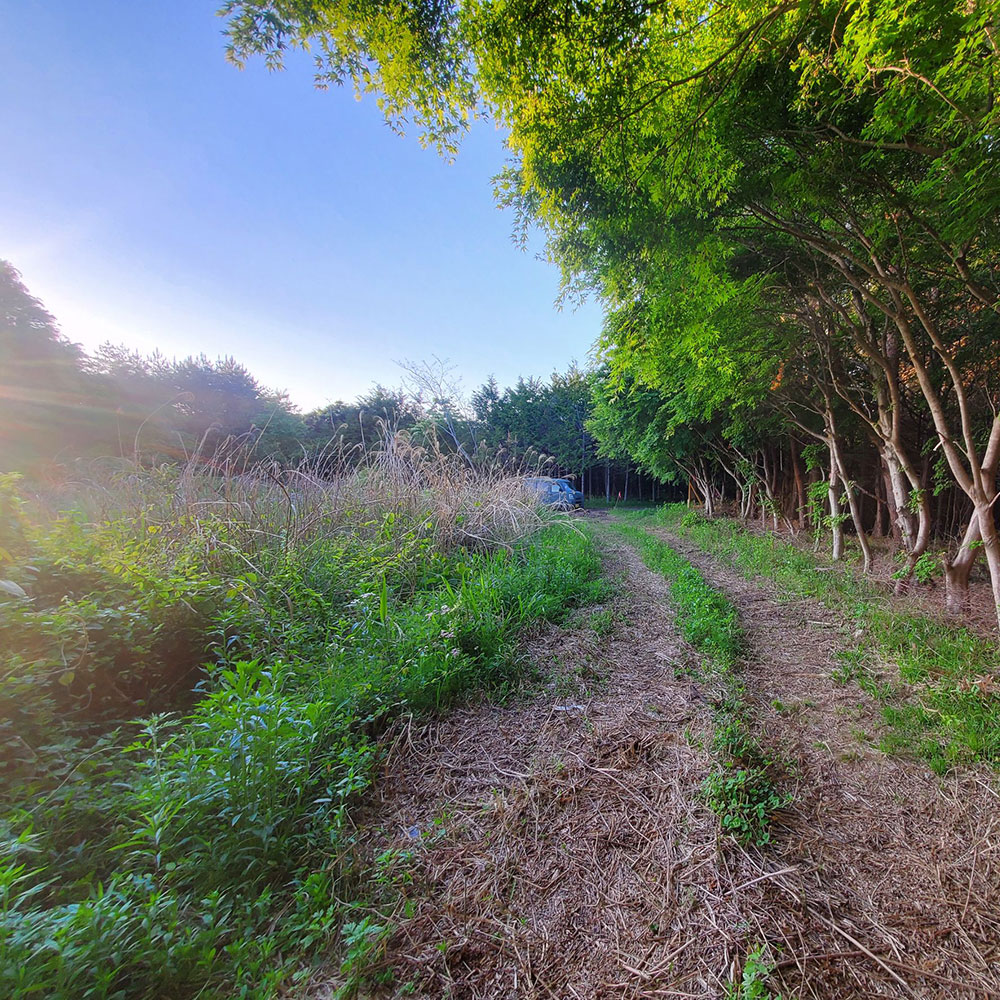 bushcraft campsite minami-soma fukushima  japan