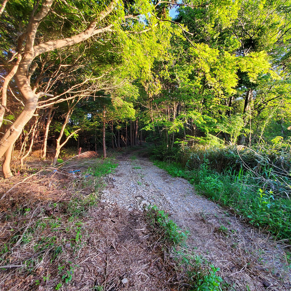 bushcraft campsite minami-soma fukushima  japan