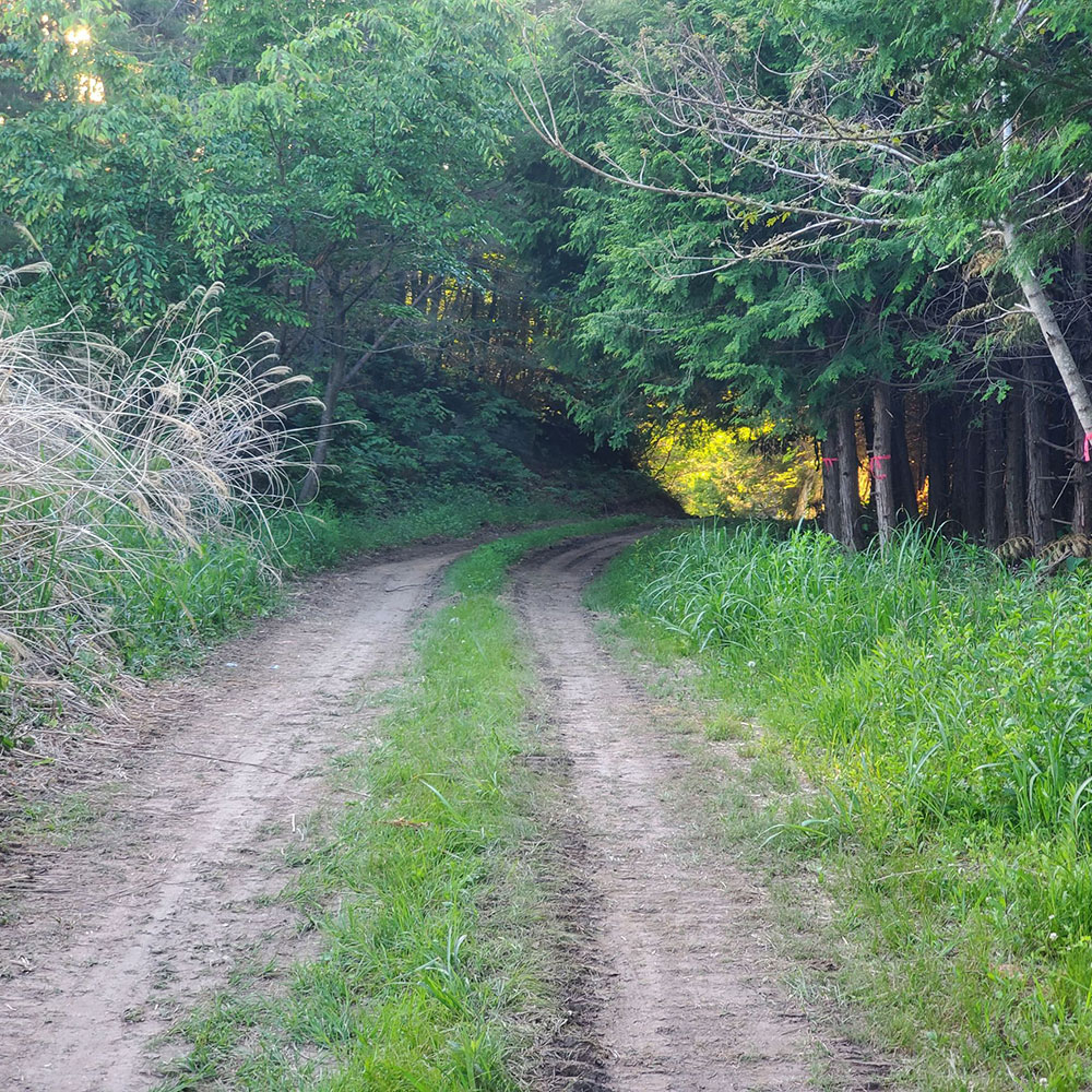 bushcraft campsite minami-soma fukushima  japan